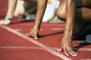 森林狼雷霆分析，森林狼 雷霆