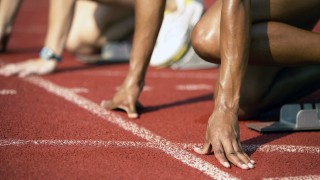 森林狼雷霆分析，森林狼 雷霆